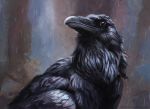  abstract_background ambiguous_gender avian beak bird black_beak black_feathers brown_eyes corvid crow feathers feral kenket looking_away smile snow solo wings 