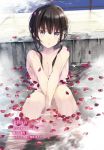  between_legs black_hair breasts character_name cleavage closed_mouth collarbone ectas_online hand_between_legs highres knees_up looking_at_viewer lossy-lossless medium_breasts messy_hair novel_illustration nude official_art onsen partially_submerged petals petals_on_liquid pout purple_eyes shizuku_ishinon sideboob sidelocks sitting solo taira_tsukune tied_hair wet 