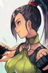  bangs black_hair breasts closed_mouth collar dragon_quest dragon_quest_xi from_side green_collar hankuri long_hair martina_(dq11) medium_breasts ponytail simple_background solo tied_hair 