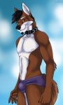  2018 5_fingers anthro beard biting_lip black_hair blue_background blurred_background brown_fur bulge canine cinta clothed clothing collar eyebrows facial_hair fox fur hair looking_at_viewer male mammal multicolored_fur nipples red_eyes simple_background slim smile solo standing teeth tight_underwear topless two_tone_fur underwear white_fur 
