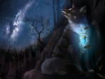  canine detailed_background digital_media_(artwork) feral fox mammal muns11 night outside paws sky solo star starry_sky whiskers 
