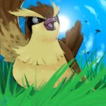  blue_sky brown_eyes bug cloud commentary creature day dragonfly gen_1_pokemon grass insect looking_away looking_back looking_up lowres no_humans pidgey pokemon pokemon_(creature) rock-bomber sky solo sun 