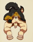  2016 4_toes all_fours anal anal_knotting anal_penetration animal_genitalia animal_penis anthro anthro_on_anthro anus backsack balls beauceron black_fur brown_fur butt canine canine_penis cum cum_inside dog doggieo doggieo_(character) doggystyle duo erection faceless_male from_behind_position fur german_shepherd gloves_(marking) half-erect humanoid_penis knot knotting male male/male mammal markings multicolored_fur muscular muscular_male pawpads paws penetration penis perineum pink_penis raised_tail rear_view sex simple_background socks_(marking) tan_fur toes two_tone_fur white_background 