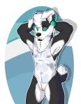  2016 anthro canine clothed clothing cuntboy dog gabu_(silverzar) husky intersex mammal mastectomy_scars pussy scar silverzar solo visibly_trans wolf 