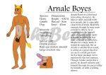  arnale_boyes_(thebean) balls big_balls canine dog equine giraffe horse knot male mammal model_sheet multi_penis nude penis thebean 