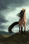  black_hair day detailed_background digital_media_(artwork) dschunai equine feral grass hair hooves horn horse mammal outside sky solo standing yellow_eyes 