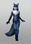  anthro bianca_(sheep_and_wolves) blue_fur blue_hair canine female fur hair invalid_color mammal nude redngold sheep_and_wolves simple_background solo white_background white_fur wolf 