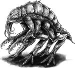  ambiguous_gender anthro arthropod carapace chuul crustacean dungeons_&amp;_dragons exoskeleton greyscale jarumo lobster marine monochrome multi_leg multi_limb nude pincers solo 