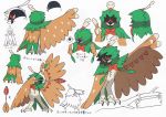  2016 absurd_res avian bird bow_(weapon) decidueye feral hi_res japanese_text model_sheet nintendo official_art owl pok&eacute;mon pok&eacute;mon_(species) ranged_weapon simple_background text translation_request video_games weapon white_background 
