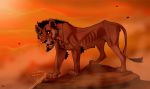  balls disney dj88 feline feral lion male mammal nuka semi-realistic solo teenager the_lion_king young 