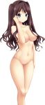  akasabi_risa aoi_tori_(purple_software) arm_at_side blue_eyes breasts brown_hair censored collarbone hair_intakes hand_on_own_face highres koku large_breasts long_hair mosaic_censoring navel nipples non-web_source nude official_art one_side_up pussy solo transparent_background 