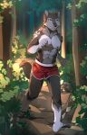  2018 5_fingers anthro barefoot canine clothed clothing day detailed_background digital_media_(artwork) dog forest hihikori male mammal outside solo topless tree 