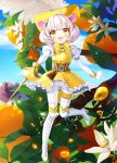  :d animal_ears belt boots bow buck_teeth cloud cross-laced_footwear day dress eyebrows_visible_through_hair feathers flower food frilled_dress frills fruit full_body gloves hat hinare_(hinare777) holding holding_sword holding_weapon knee_boots lace-up_boots leaf mouse_ears mouse_tail open_mouth orange original pantyhose puffy_sleeves rapier short_hair sky smile solo sword tail tassel weapon whiskers white_footwear white_gloves white_hair white_legwear yellow_bow yellow_dress yellow_eyes yellow_hat 