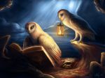  avian bird book detailed_background digital_media_(artwork) duo feathered_wings feathers feral lantern noquelle owl standing wings 