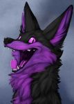  2018 anthro black_fur black_nose canine digital_media_(artwork) dys fox fur happy mammal maskedhusky multicolored_fur nude purple_eyes purple_fur simple_background smile tongue 