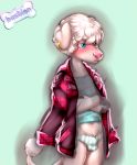  anthro bastion blue_eyes blush bulge canine clothing crossed_arms cub dog fur girly hair jacket male mammal navel panties pink_nose poodle solo standing teenager undershirt underwear white_fur white_hair young 