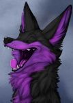  2018 anthro black_fur black_nose canine digital_media_(artwork) dys fox fur happy mammal maskedhusky multicolored_fur nude purple_fur simple_background smile tongue 