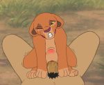  anal anal_penetration bestiality cub disney feline female feral forced human human_on_feral interspecies lion male male/female male_on_feral mammal nala penetration penis pussy tears the_lion_king theoryofstrings young 
