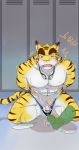  anthro assisted_exposure balls clothing disembodied_foot feline locker_room male mammal morenatsu penis rotton speedo swimsuit tiger torahiko_(morenatsu) 