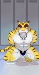  anthro bulge clothing feline locker_room male mammal morenatsu rotton solo speedo swimsuit tiger torahiko_(morenatsu) 