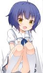  :d bangs blouse blue_hair blue_neckwear blush cameltoe eyebrows_visible_through_hair fang flat_chest gochuumon_wa_usagi_desu_ka? highres itamochi jouga_maya kafuu_chino's_school_uniform kneehighs knees_together_feet_apart looking_at_viewer neckerchief open_mouth panties pantyshot pantyshot_(squatting) puffy_short_sleeves puffy_sleeves sailor_collar school_uniform short_hair short_sleeves skirt smile solo squatting underwear upskirt white_background white_blouse white_legwear white_panties white_skirt yellow_eyes 