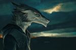  blue_eyes clothed clothing frown fur grey_fur hoodie hriscia male outside overcast sergal sky solo white_fur 