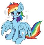 2018 blue_feathers blue_fur blue_wings blush cutie_mark digital_media_(artwork) equine eyebrows feathered_wings feathers female feral friendship_is_magic front_view full-length_portrait fur hair hi_res hioshiru hooves inner_ear_fluff long_hair long_tail mammal multicolored_hair multicolored_tail my_little_pony pegasus portrait purple_eyes quadruped rainbow_dash_(mlp) rainbow_hair rainbow_tail signature simple_background sitting solo sweat tired white_background wings 