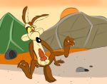  2018 animal_genitalia animal_penis anthro balls black_nose brown_fur canine canine_penis coyote digital_media_(artwork) erection fur knot looney_tunes male mammal nude paws penis prometheusblack solo spread_legs spreading toony warner_brothers wile_e._coyote 