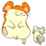  hamtaro oxnard tagme 