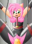  amy_rose chaossabre sonic_team tagme 
