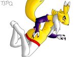  bpq00x digimon renamon tagme 