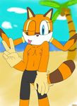  marine_the_raccoon sonic_team tagme 