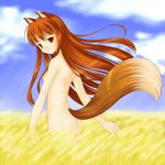  horo spice_and_wolf tagme 