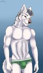  2018 5_fingers absurd_res anthro blue_background brown_nose bulge canine cinta claws clothed clothing dog eyebrows fur green_eyes grey_hair hair hi_res husky looking_at_viewer male mammal muscular nipples raven_braveblitz simple_background smile solo standing topless underwear white_fur 