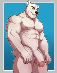  2017 abs aiden_saunders anthro balls bear biceps biped black_claws black_eyebrows black_eyes black_nose blue_background border claws digital_media_(artwork) eyebrows flaccid front_view fur glans grey_border grin hi_res humanoid_penis knuxlight looking_at_viewer male mammal muscular muscular_male nipples nude outside_border partially_retracted_foreskin pecs penis pepsi_(fa) pink_nipples polar_bear portrait short_tail simple_background small_tail smile solo standing teeth three-quarter_portrait uncut white_balls white_fur white_penis white_tail 