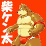  anthro bulge canine character_name clothed clothing deep_navel dog japanese_text kemono kenta_shiba_(character) male mammal navel nipples shiba-kenta shiba_inu solo text topless wrestler wrestling_briefs 