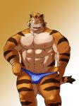  anthro bulge clothing feline kemono male mammal muscular muscular_male navel nipples shiba-kenta solo tiger 