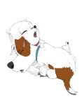  2017 blush canine dog duo far-from-over female feral fur gidget_(secret_life_of_pets) hi_res jack_russell_terrier lying male male/female male_penetrating mammal max_(secret_life_of_pets) missionary_position on_back penetration sex the_secret_life_of_pets torinsangel vaginal vaginal_penetration 