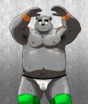  anthro bear bulge clothed clothing daigo_kumano kemono male mammal navel shiba-kenta topless wrestling_briefs 