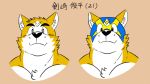  age canine character_name mammal mask shiba-kenta syunpei_kenzaki 