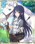  black_hair card_(medium) cygames dress_shirt gloves horse long_hair official_art pants princess_connect! purple_eyes riding_crop shijou_rei shirt 