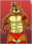  bulge canine clothed clothing dog kcee kenta_shiba_(character) male mammal shiba_inu solo topless wrestling_briefs 
