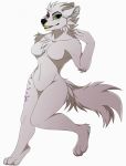  2016 4_fingers anthro black_lips blakc_nose breasts canine digital_media_(artwork) featureless_breasts female heterochromia indycat mammal navel simple_background smile solo white_background wolf 