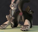  3d_(artwork) adamb/fluffy all_fours anal anal_penetration animal_genitalia animal_pussy anthro blender_(software) buttplug canine canine_dildo canine_pussy crossed_legs digital_media_(artwork) dildo disney duo female female/female fur interspecies judy_hopps lagomorph looking_back looking_pleasured mammal nude paws penetration purple_eyes pussy rabbit raised_tail sex_toy simple_background sitting size_difference toying_partner wolf zootopia 