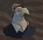  2016 avian bird brown_hair donald_trump eagle fauvfox flag hair half-closed_eyes male portrait united_states_of_america 