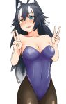  absurdres animal_ears black_hair blue_eyes breasts commentary_request covered_navel cowboy_shot double_v grey_wolf_(kemono_friends) heterochromia highres kemono_friends leotard long_hair medium_breasts multicolored_hair nitouryuu_sankakkei pantyhose playboy_bunny_leotard purple_leotard simple_background solo two-tone_hair v white_background white_hair wolf_ears wolf_girl yellow_eyes 