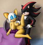  knownvortex rouge_the_bat shadow_the_hedgehog sonic_team tagme 