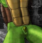  brooklyn_kat tagme teenage_mutant_hero_turtles 