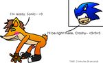  crash_bandicoot crossover sonic_team sonic_the_hedgehog sonichentaifan100 