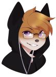  2018 anthro black_clothing black_topwear brown_fur bust_portrait canine clothed clothing digital_media_(artwork) eyebrows feve fox front_view fur hoodie hoodie_(character) male mammal portrait purple_eyes simple_background smile solo teeth white_background 